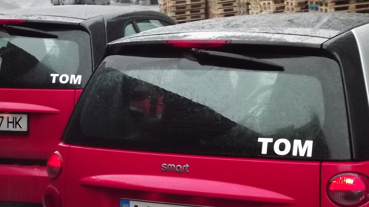 Tomfly