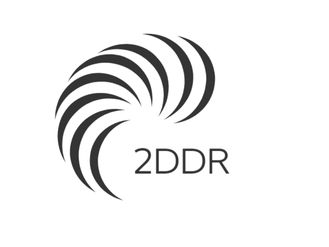 2DDR