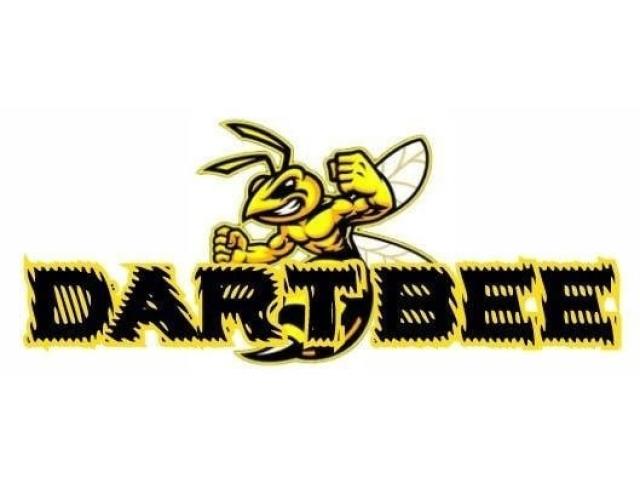 DART BEE
