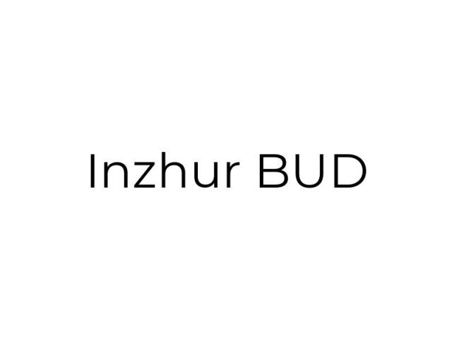 Inzhur BUD